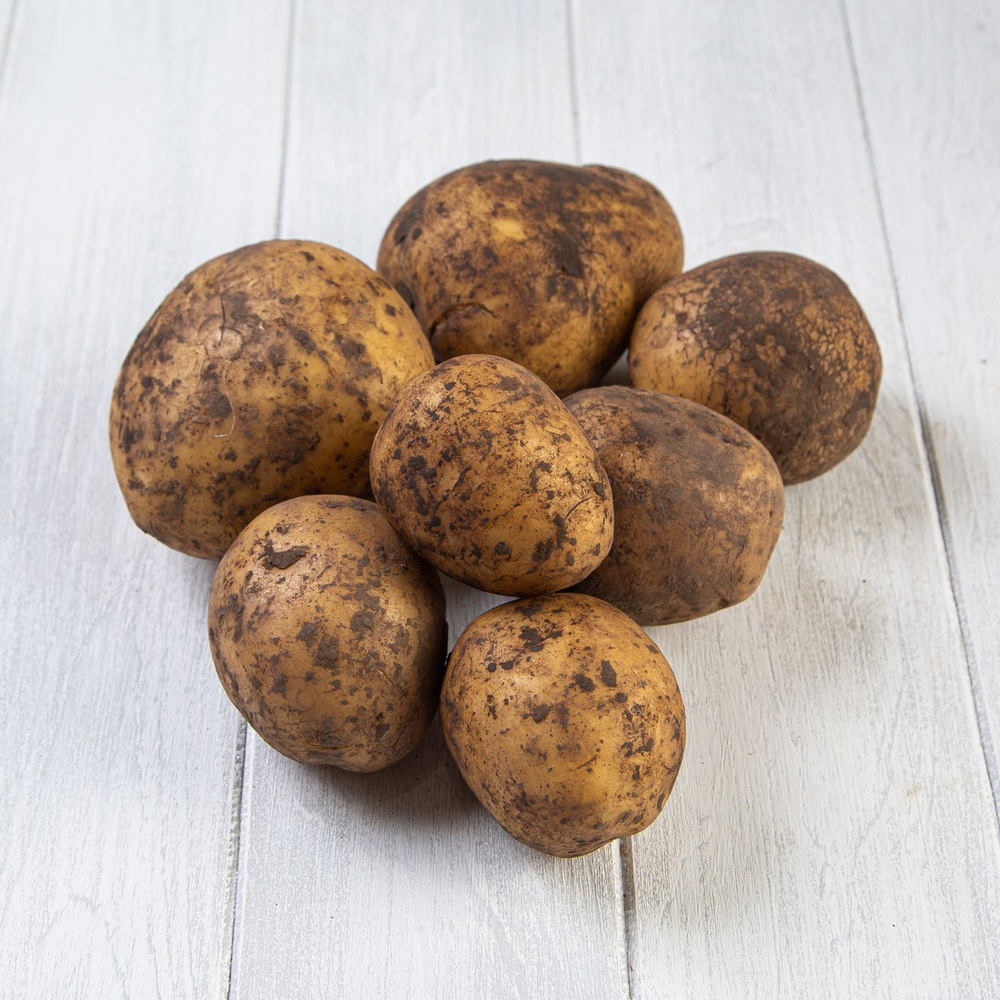 Картофель белый, кг